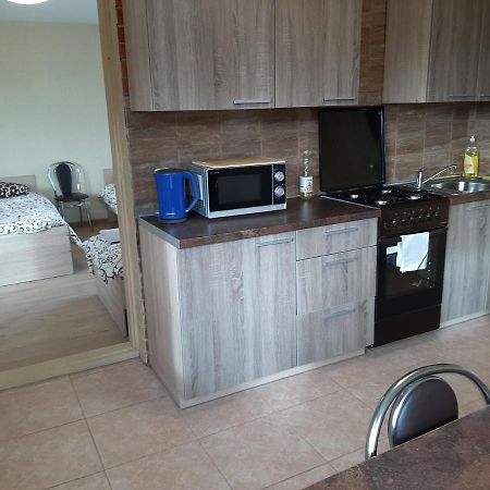 Rooms For Rent Паневежис Экстерьер фото